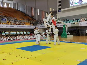 2018年 多彩贵州 青少年跆拳道联赛 贵阳站 在省全民健身服务中心开赛